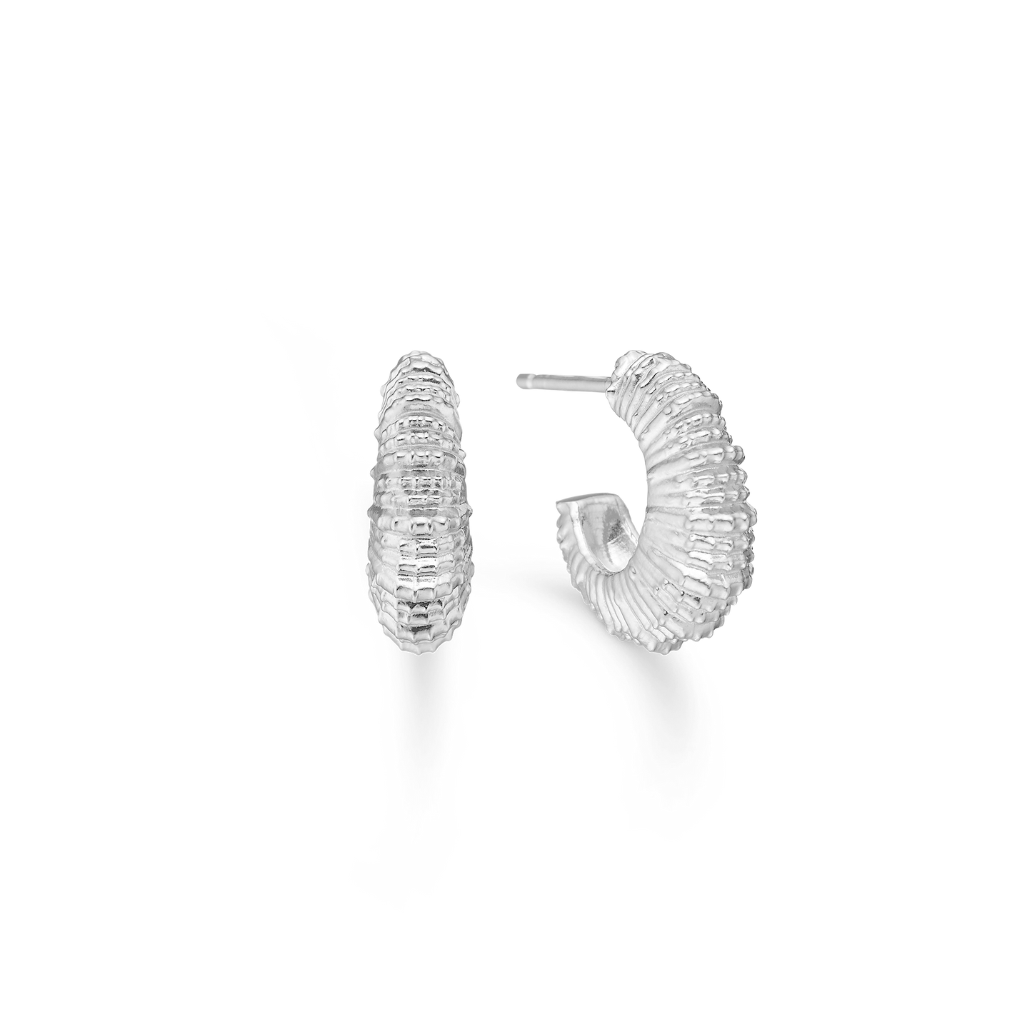 Studio Z Seashell Secrets øreringe i sølv