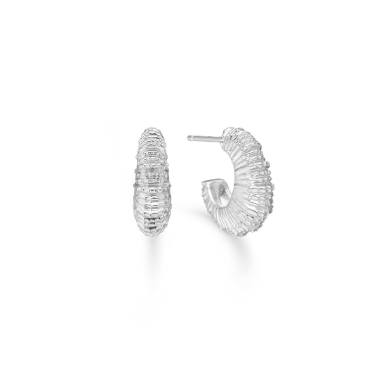 Studio Z Seashell Secrets øreringe i sølv