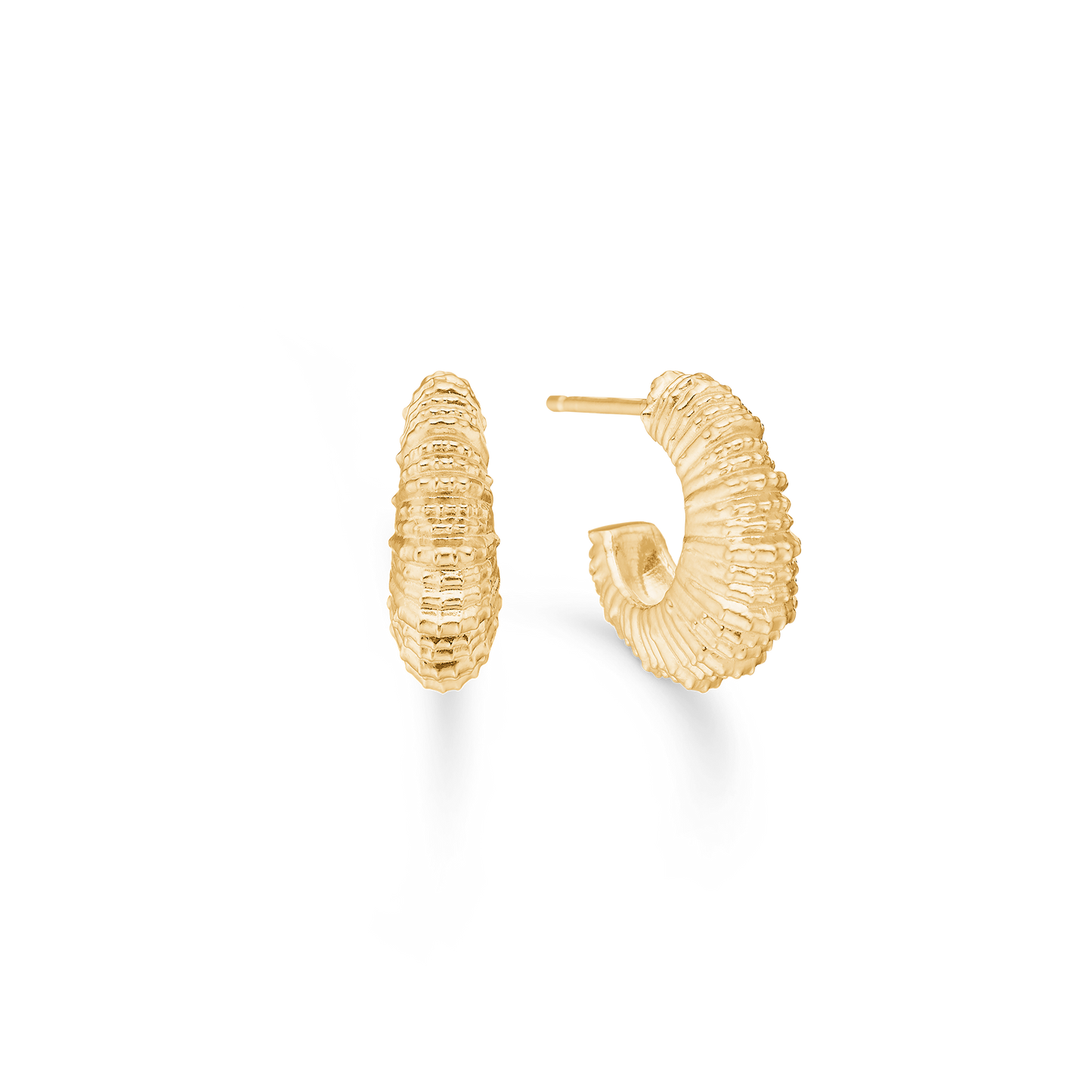 Studio Z Seashell Secrets øreringe i forg. sølv