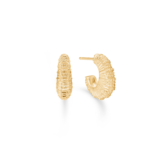 Studio Z Seashell Secrets øreringe i forg. sølv