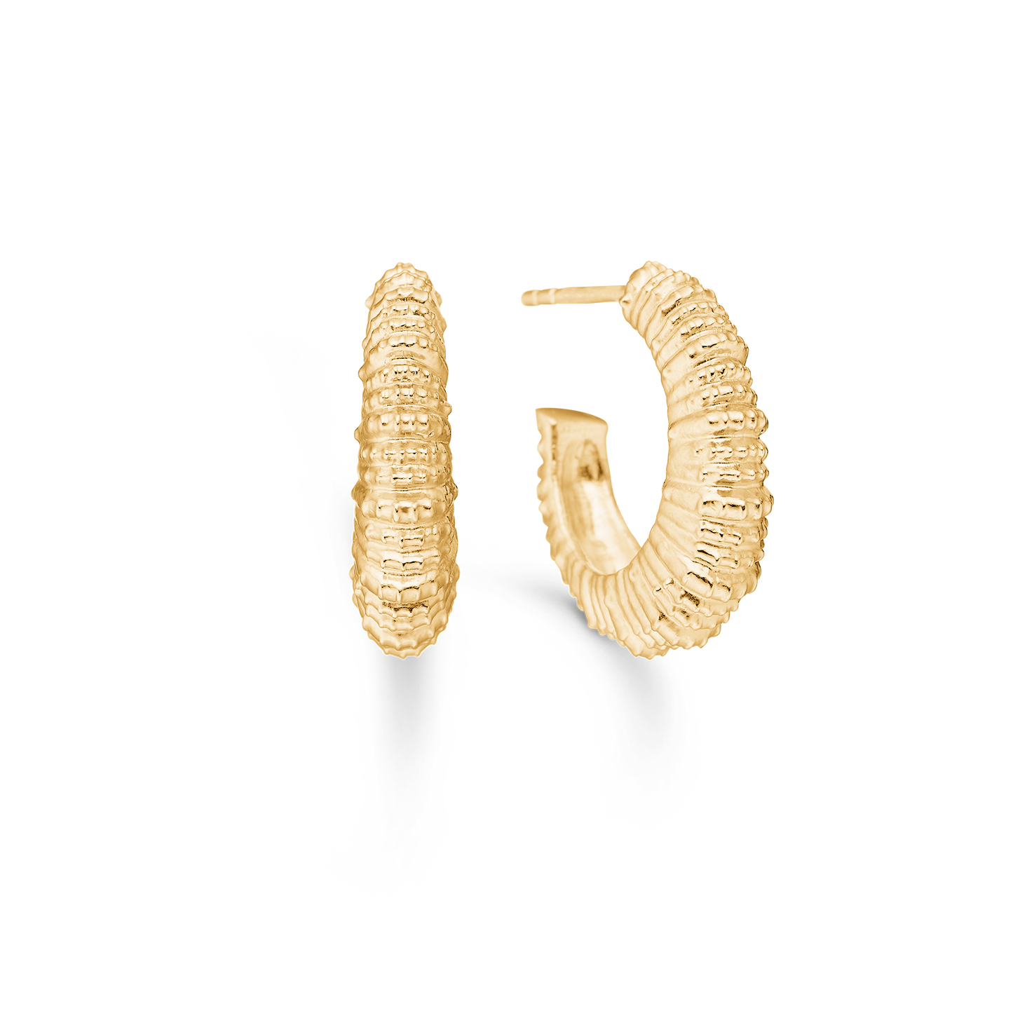 Studio Z Seashell Secrets øreringe i forg. sølv