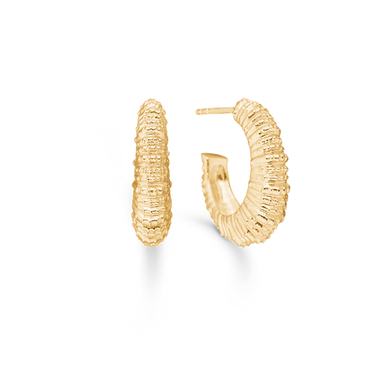 Studio Z Seashell Secrets øreringe i forg. sølv